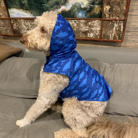 canada pooch rain jacket